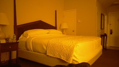 Photos of Hawthorn Suites by Wyndham Rome