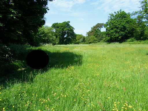 Brickfield and Long Meadow