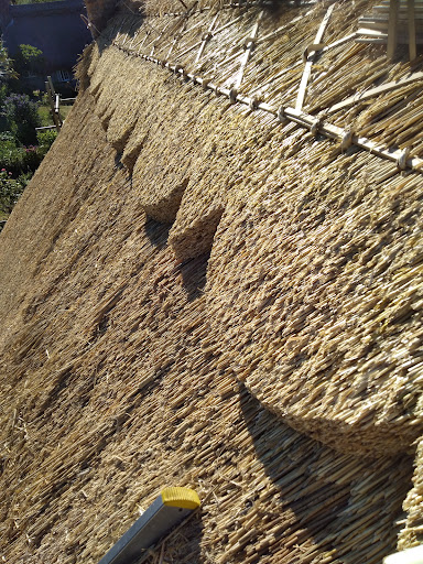 Celtic Thatch - Visual