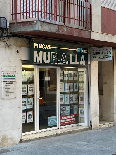 Finques Muralla - Thumbnail