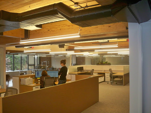 ESI Electric - Visual