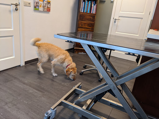 Dierenkliniek De Jordaan - Thumbnail