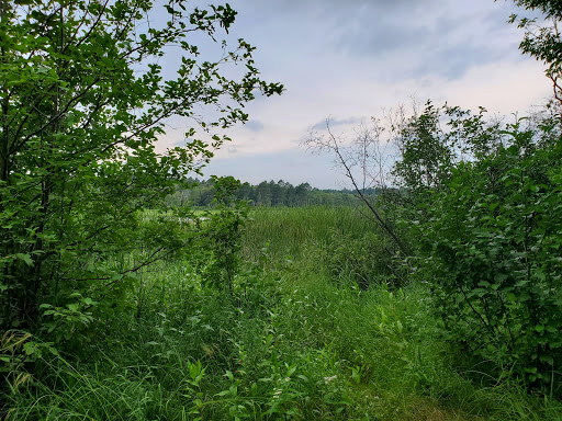 Mosomo Point Campground - Thumbnail