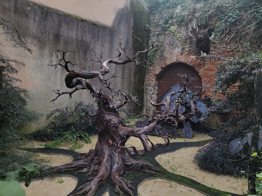 Le jardin de la sorcière et du dragon