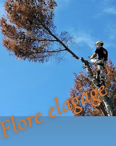 Flore Elagage
