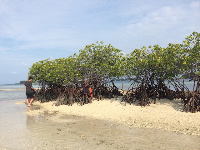 Pulau Matahari