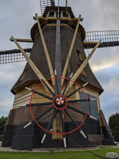Veenmolen - Thumbnail