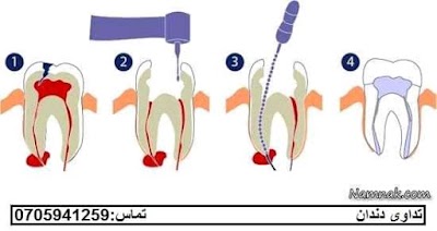 Women and Children Dental Clinic