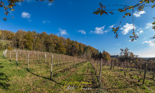 Vignoble de Ceyrat - Thumbnail