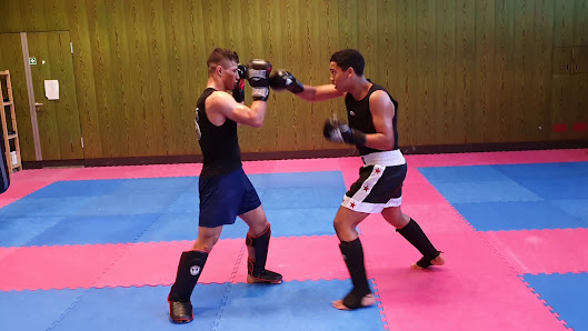 Farih Gym Kampfkunst e.V. Bischofskamp 25D, 31137 Hildesheim, Deutschland