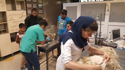 Photos of کلینیک دامپزشکی ژاوه