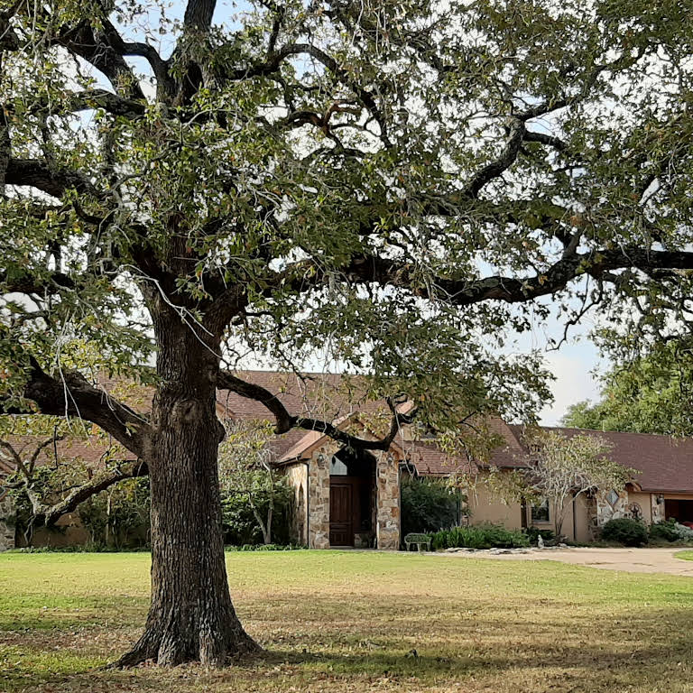 Helping One Person - 8x8 Frame – Fossil Creek Tree Farm