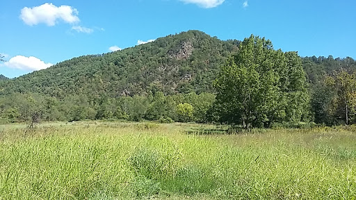 Weavers Bend - Visual