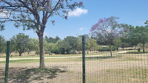 Parque Verde - Thumbnail