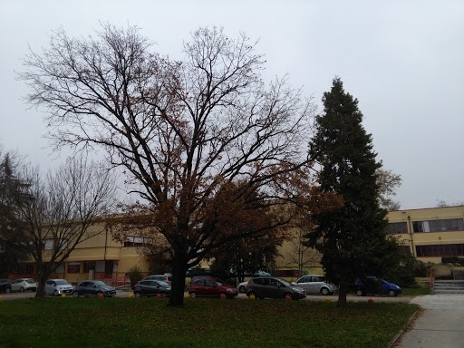 Fratelli Navarra Agricultural Technical Institute - Thumbnail