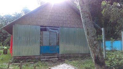 Photos of Mojumder egg farm