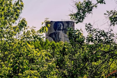 Guido van Helten Silo Mural