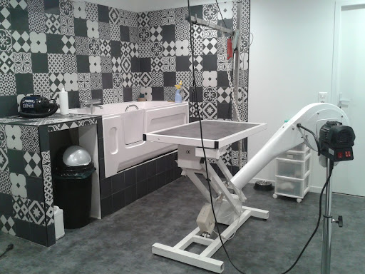 Photo de Anima-Passion