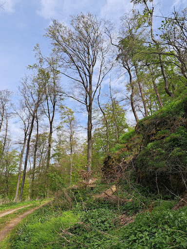 Kasseler Meeressand
