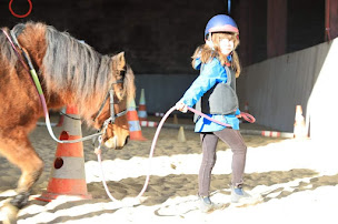 Photo n°14 de Ecurie d Arrosa à Bergouey-Viellenave (Centre de randonnée équestre)