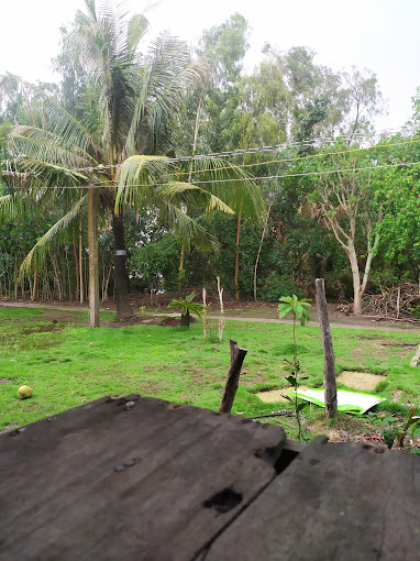 Trung Tâm Gà – Vịt Giống An Diệu 8, Vĩnh Thuận, Kiên Giang