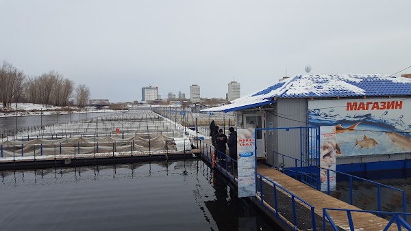 Магазины На Пашенном Красноярск