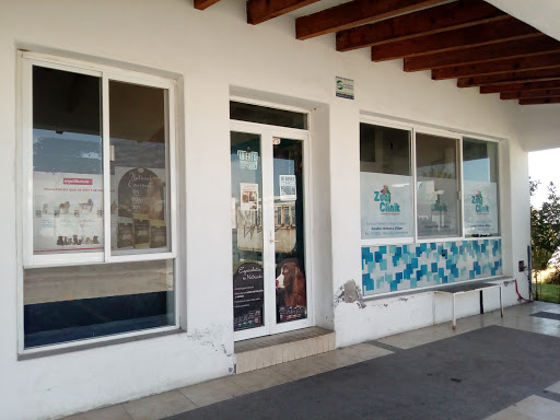 HVE (Hospital Veterinario de Especialidades ZooCliniK)