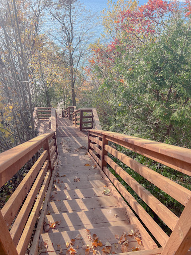Bayfield Contracting