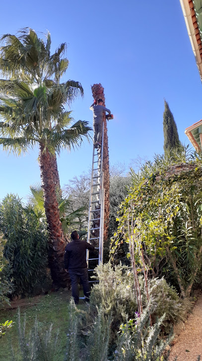 Entreprise M.I 83 élagage Abattages jardinier paysagiste debrousaillage
