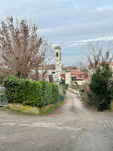 Conchia - Visual
