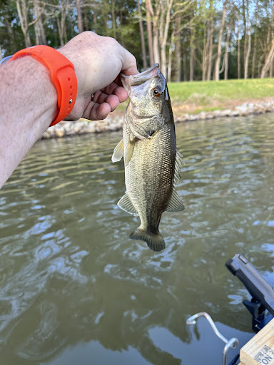Oliphant Lake, Chester - Thumbnail