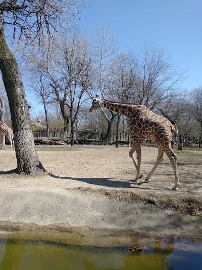 Brookfield Zoo South Parking Lot