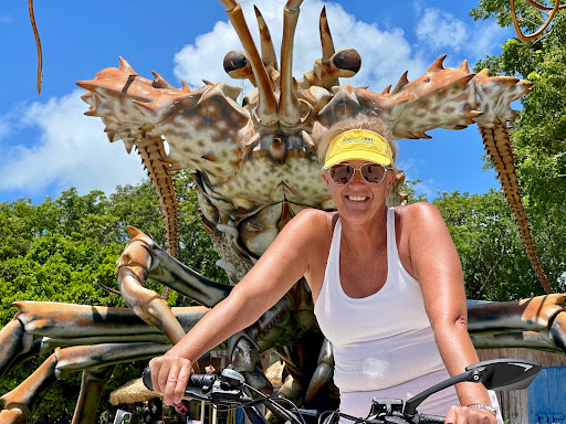 Keys Ebikes LLC - Visual