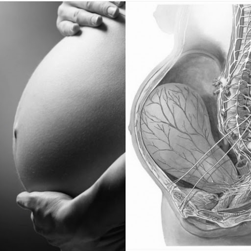 Dr. Matteo Olivi, Osteopata - Thumbnail