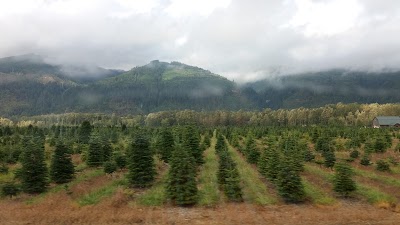 Photos of Alpine Meadows Tree Farm