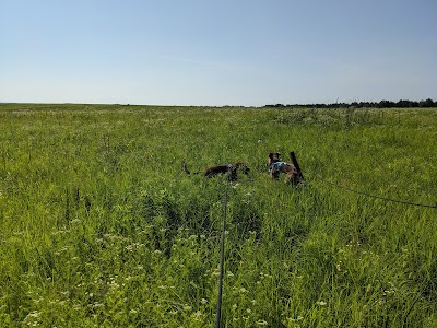 Paint Brush Prairie Conservation Area