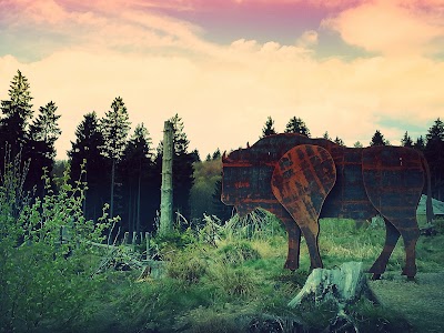 Photos of Wisent-Wildnis am Rothaarsteig :: Wisent-Welt-Wittgenstein