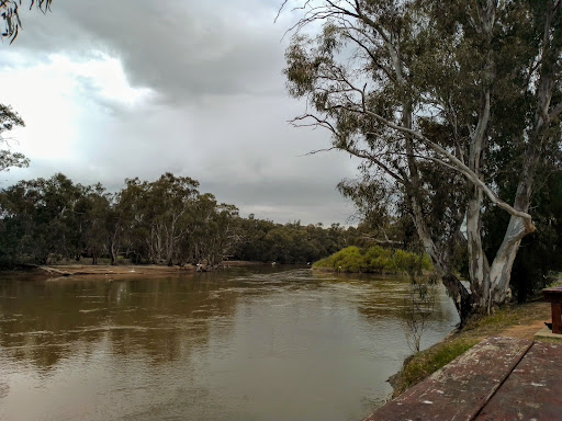 Murray River - Visual