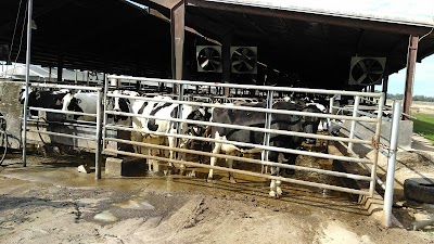 Photos of Alliance Dairies