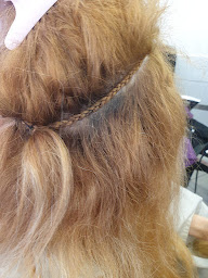 Photo n°12 de Gnouma Coiffure à Paris (Perruquier)