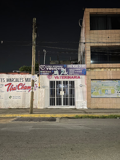 Clinica Veterinaria VETLOVE