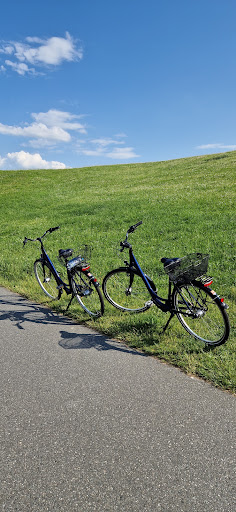 Fahrradverleih Julita Petersen Gallery - Germany