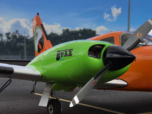 Buzz Airlines - Visual