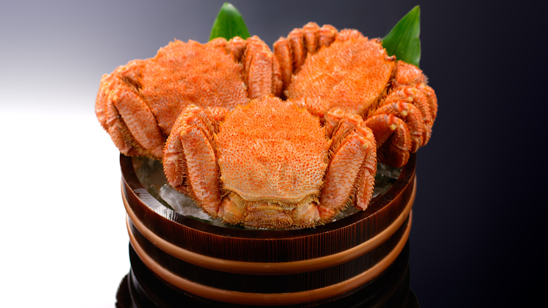 シハチ鮮魚店 北24条本店