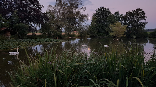 Alling, Holzkirchen - Visual