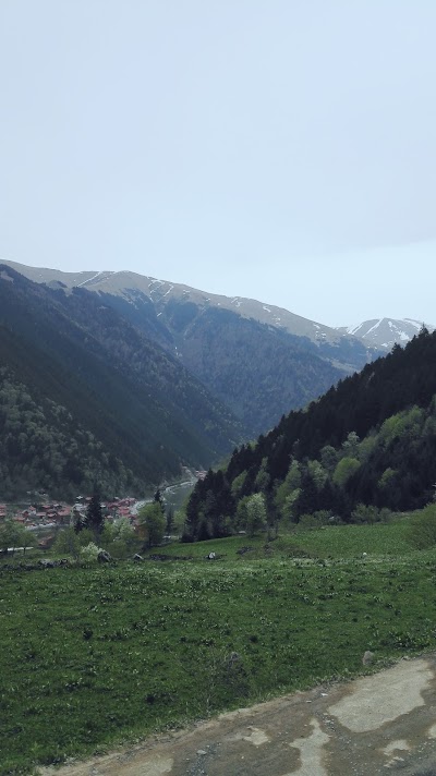 Photos of Ozturk Cafe
