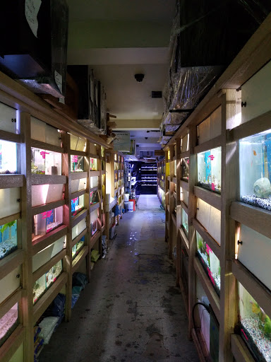 Aquarium City - Thumbnail