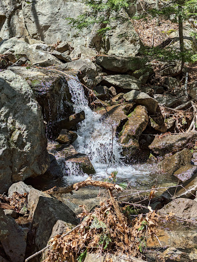 Wapack National Wildlife Refuge - Thumbnail