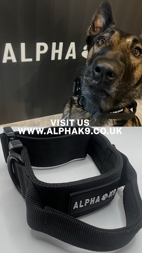 Alpha K9 - Visual