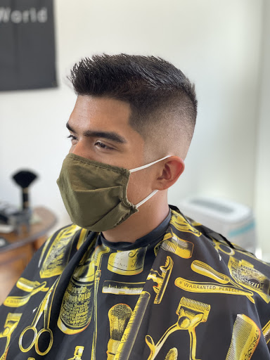 O'Connell Cuts - Visual